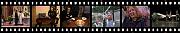 Family Videos
